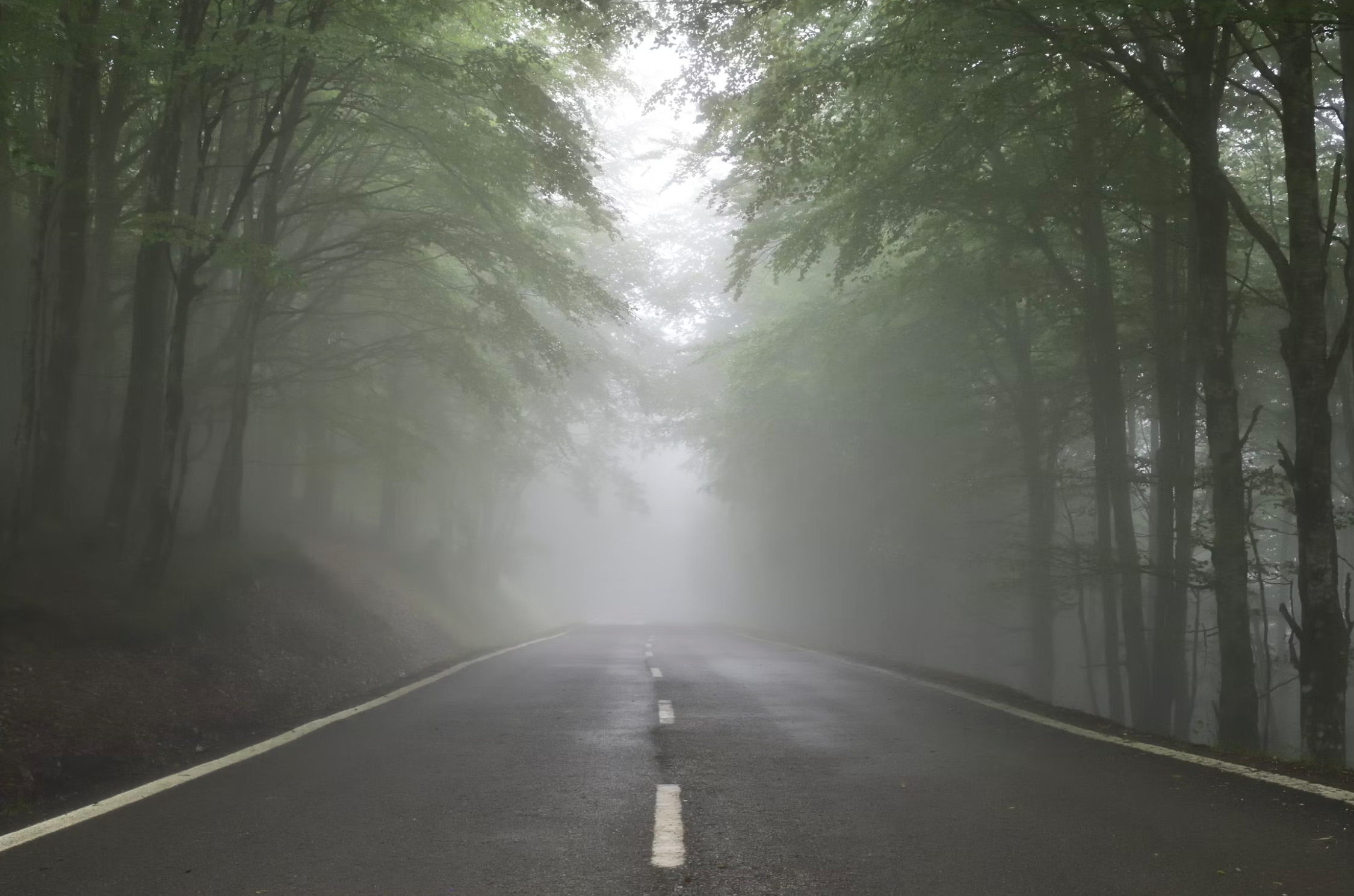 Faith, Uncertainty, and Learning to Trust God Anyway