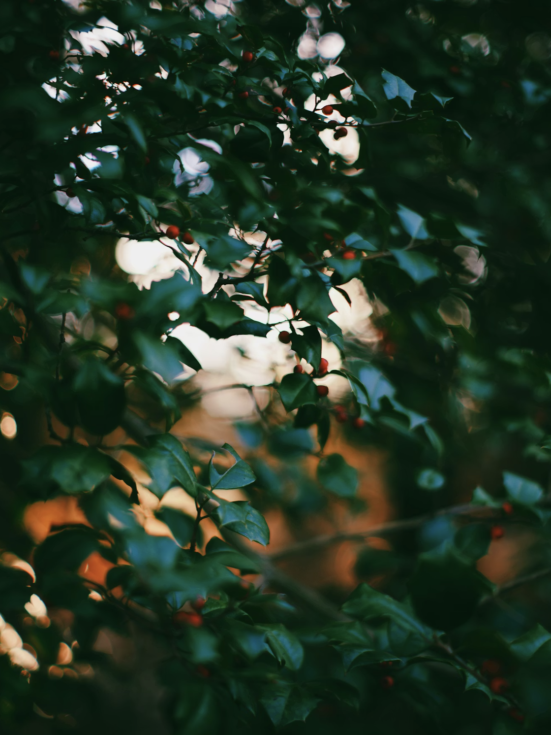 Learning Humility To Serve Jesus Better