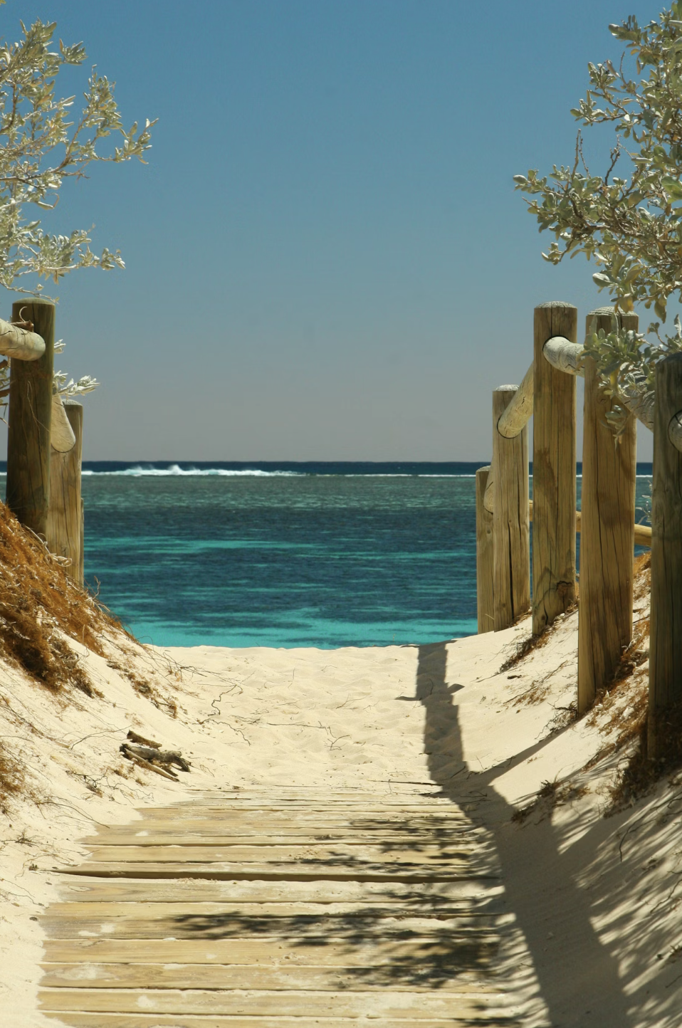 Unrealistic Expectations Bury Pastors