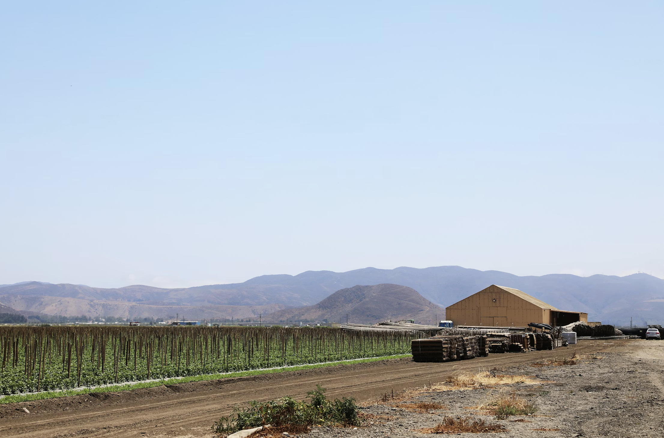 Pastor, You’re A Player and A Coach