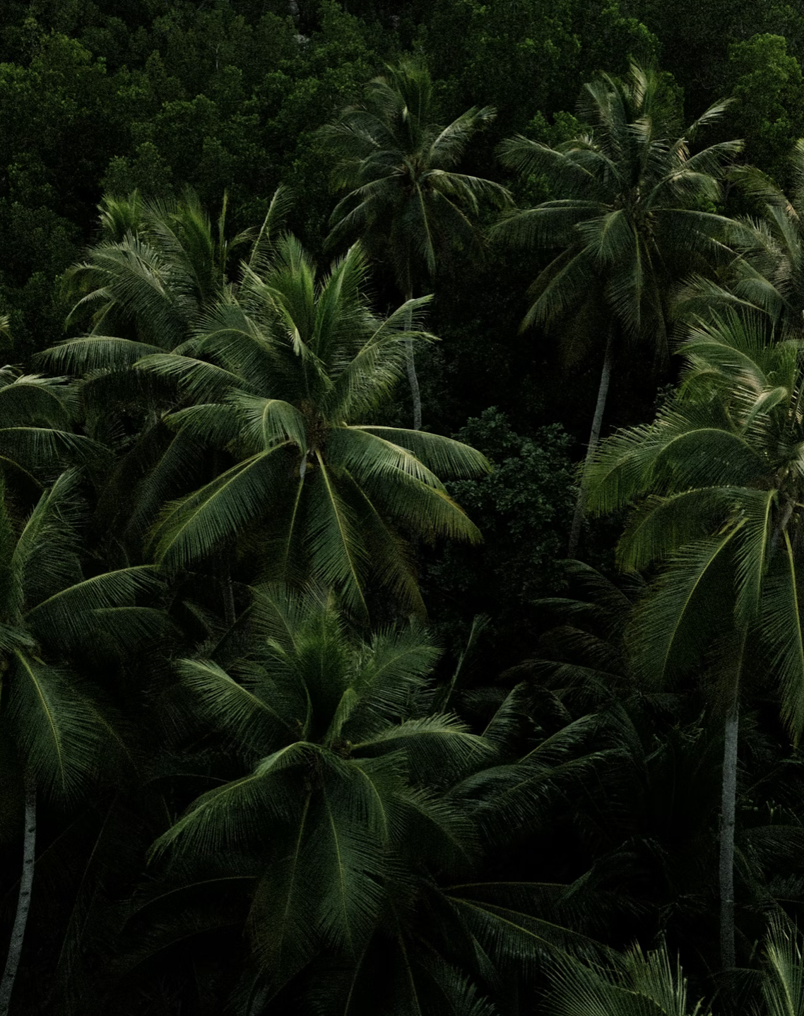 Pastor, Your Outward Example Matters