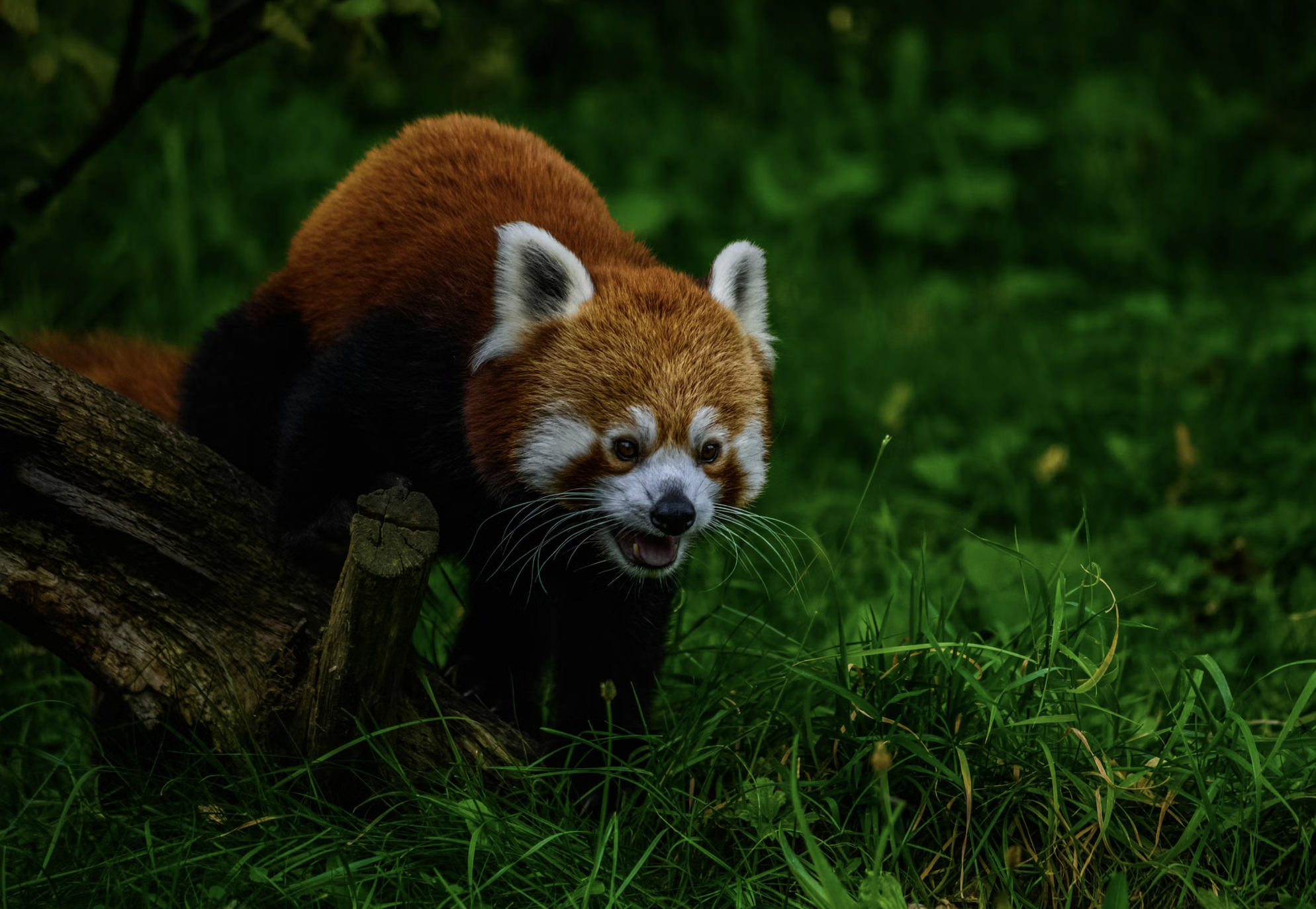 Sin Hidden In Plain Sight